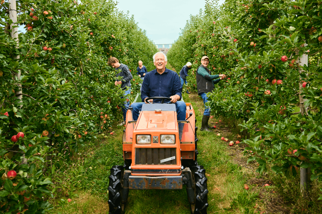 Team oogst seizoensfruit voor duurzaam werkfruit